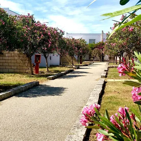 Club Esse Sunbeach 4* سكيلاتشي