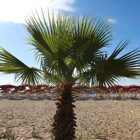 Szálloda Club Esse Sunbeach