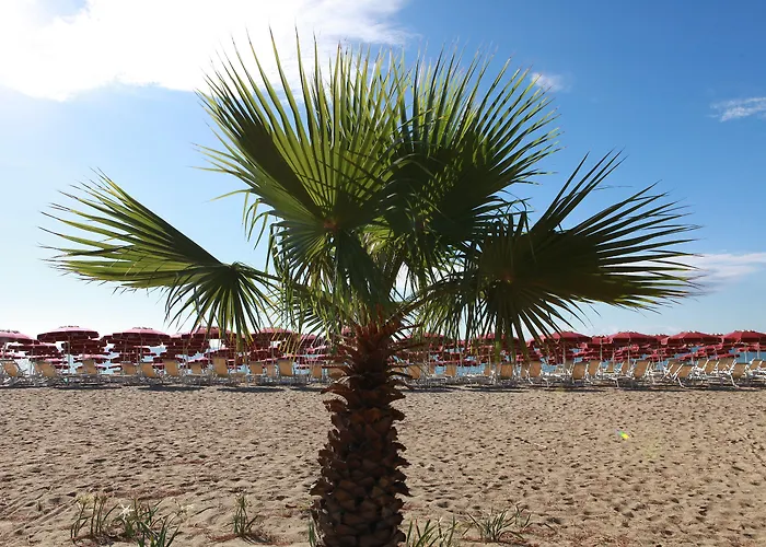 Hotel Club Esse Sunbeach